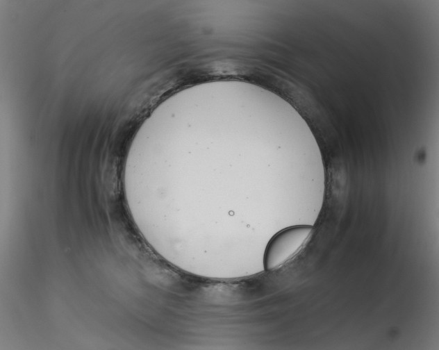 X0000115210422200911251512