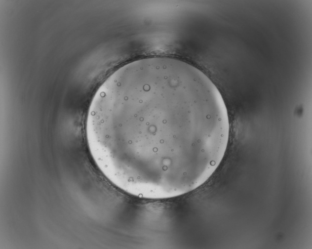 X0000115210423200911251512