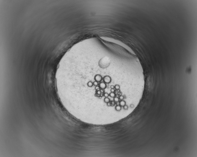 X0000115210424200911251512