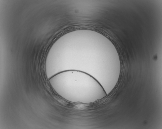 X0000115210425200911251512