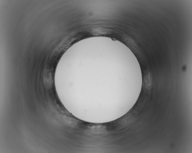 X0000115210426200911251512