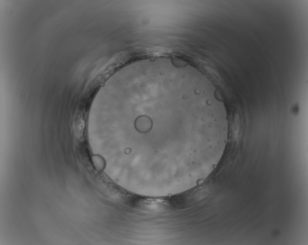 X0000115210427200911251512