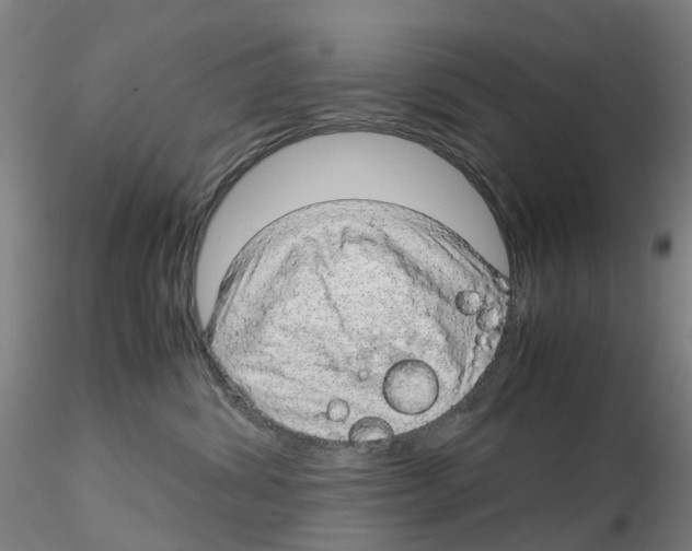 X0000115210428200911251512