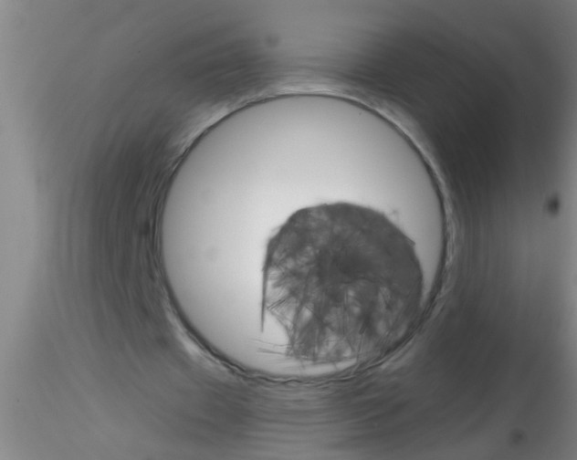 X0000115210433200911251511