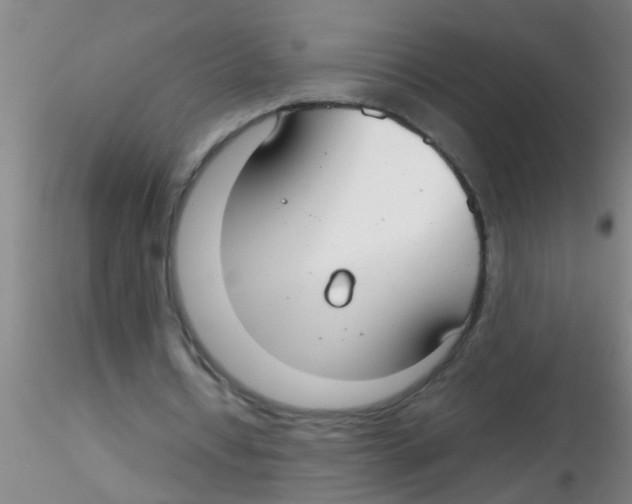 X0000115210434200911251511