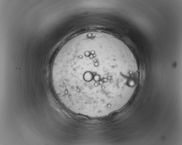 X0000115210435200911251511