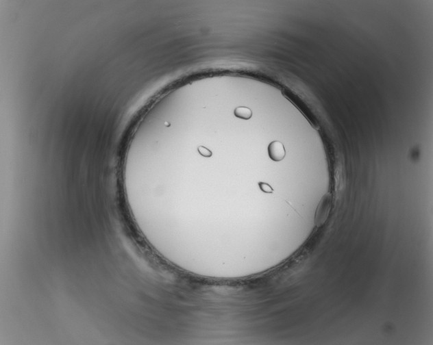 X0000115210436200911251511