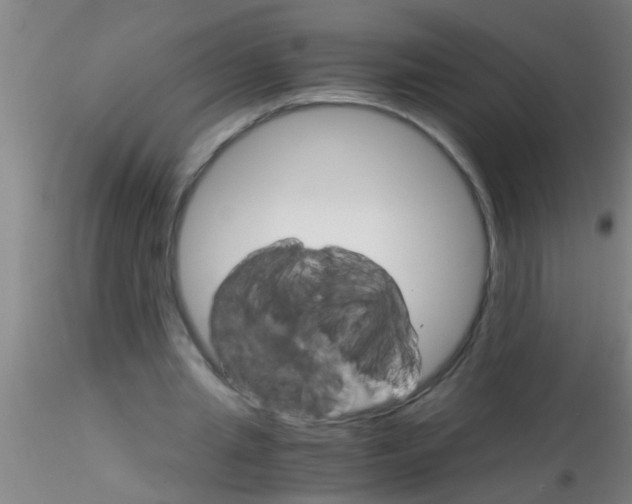 X0000115210437200911251511