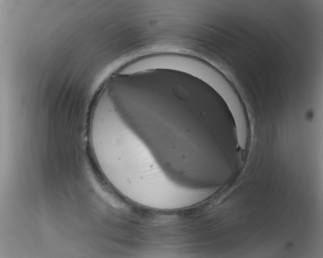 X0000115210438200911251511