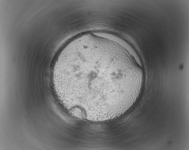 X0000115210439200911251511