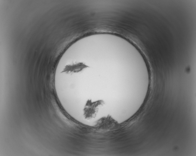 X0000115210441200911251511