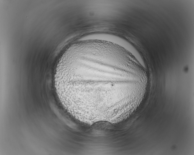 X0000115210442200911251511