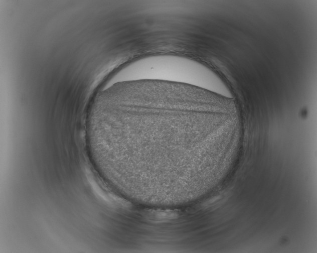 X0000115210443200911251511