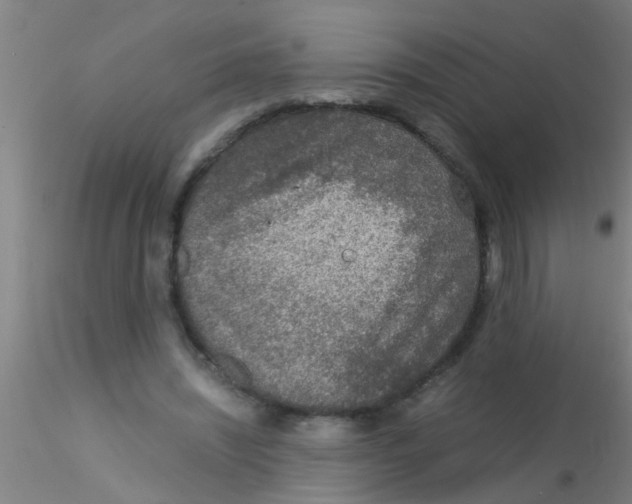 X0000115210444200911251511