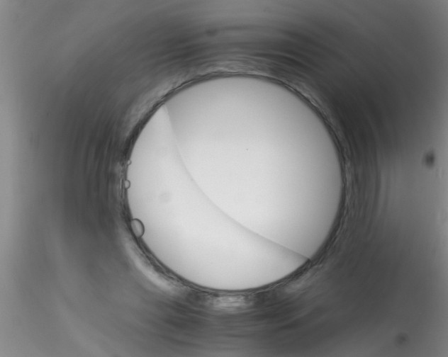 X0000115210445200911251511