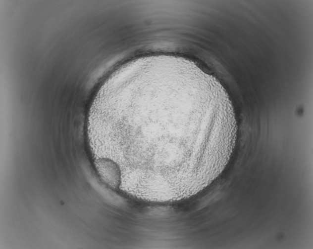 X0000115210446200911251511