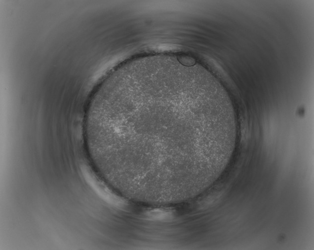 X0000115210447200911251511