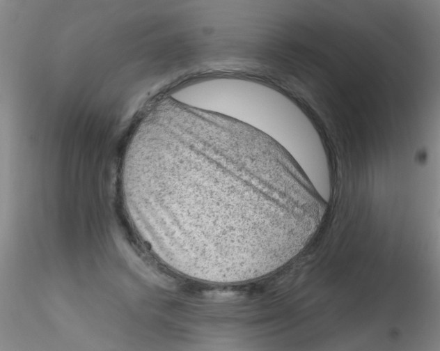 X0000115210448200911251511