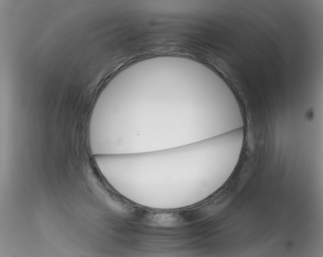 X0000115210449200911251511