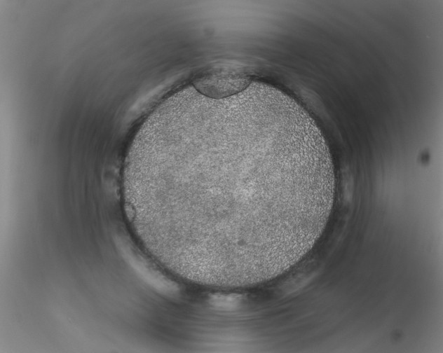 X0000115210450200911251511