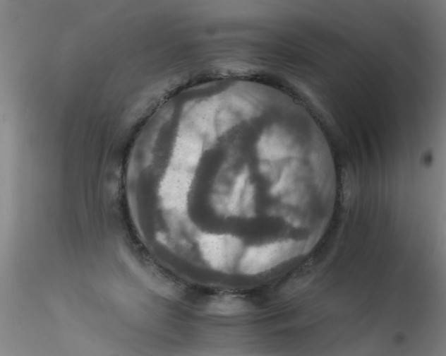 X0000115210451200911251511