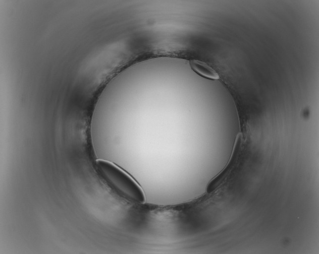 X0000115210452200911251511