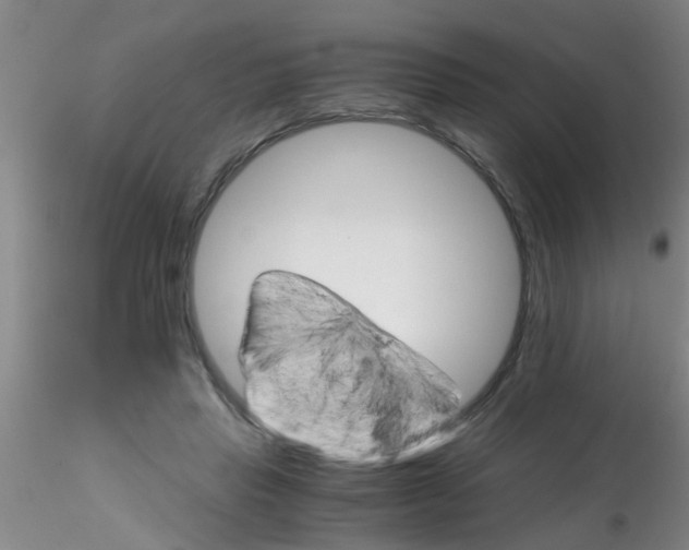 X0000115210453200911251511