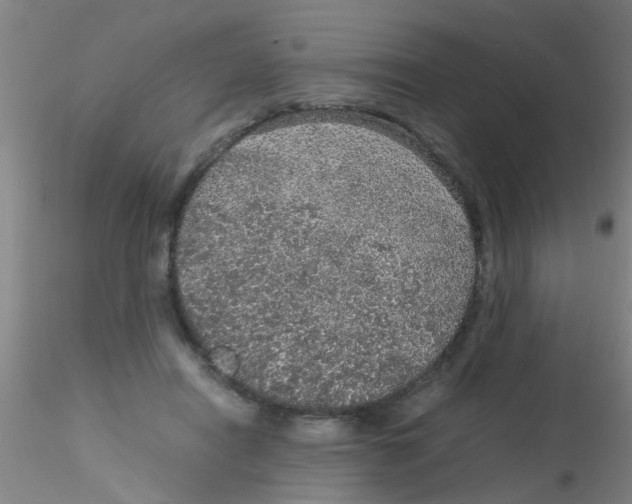 X0000115210454200911251511