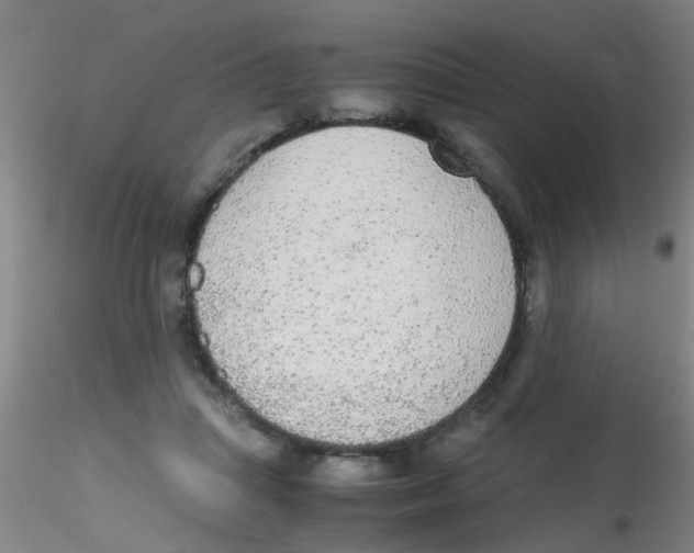 X0000115210455200911251512