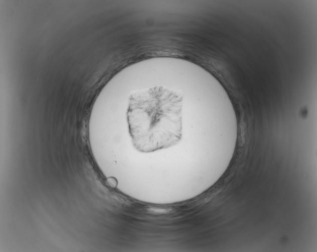 X0000115210457200911251512