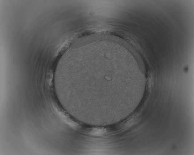 X0000115210458200911251512