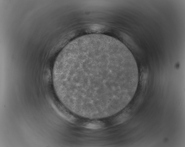 X0000115210459200911251512