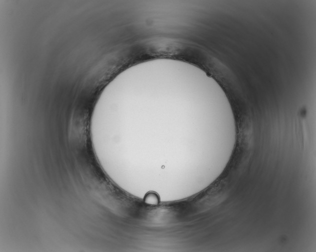 X0000115210460200911251512