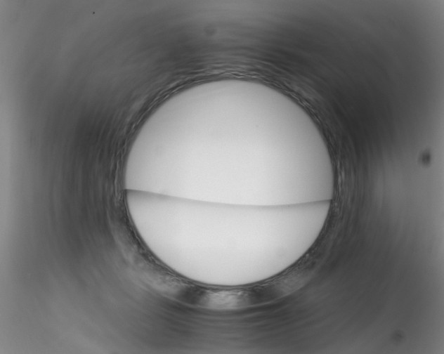 X0000115210461200911251512