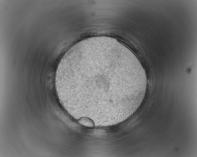 X0000115210462200911251512