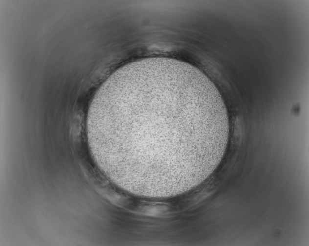 X0000115210463200911251512