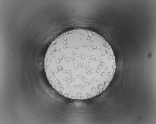 X0000115210464200911251512