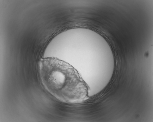 X0000115210465200911251512