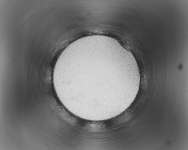 X0000115210466200911251512