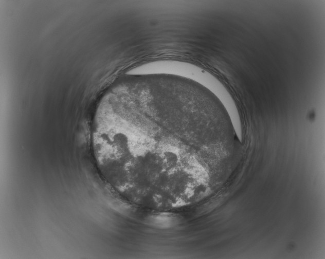 X0000115210467200911251512