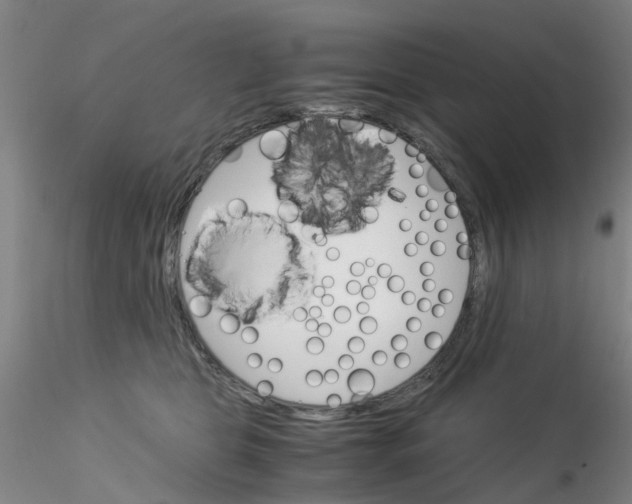 X0000115210469200911251512