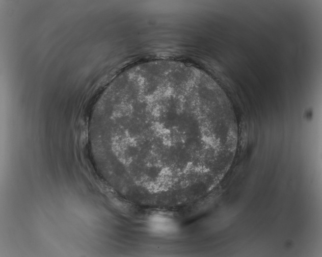 X0000115210471200911251512