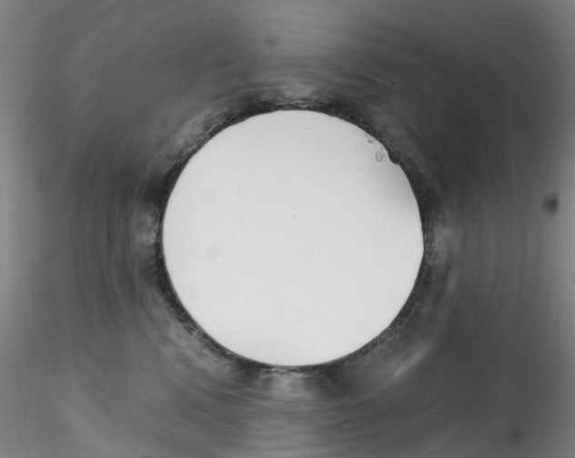 X0000115210472200911251512