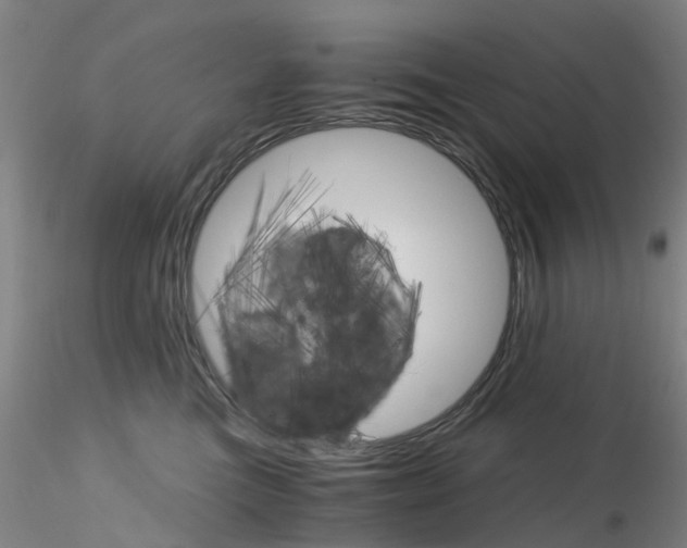 X0000115210473200911251512