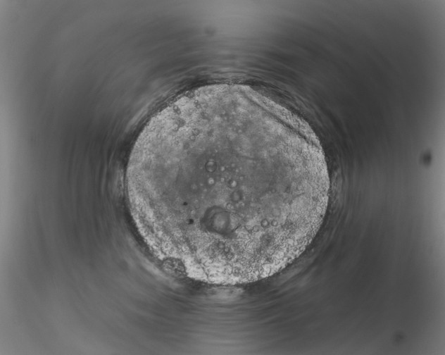 X0000115210474200911251512