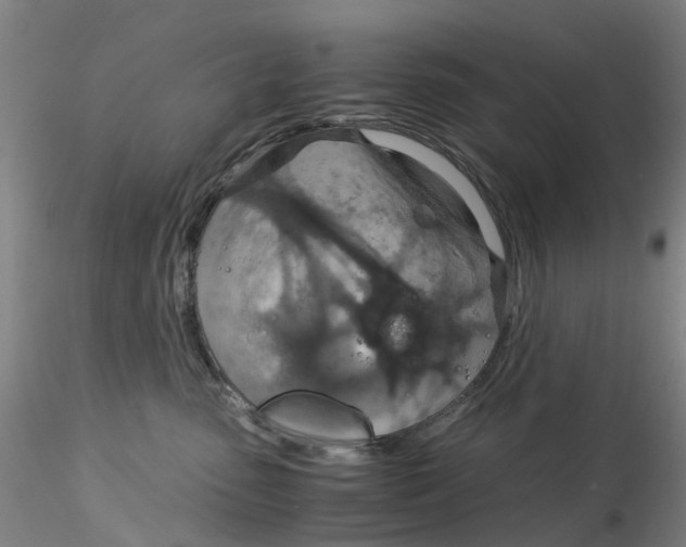 X0000115210475200911251512