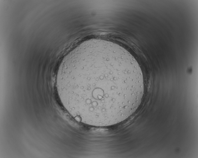 X0000115210476200911251512