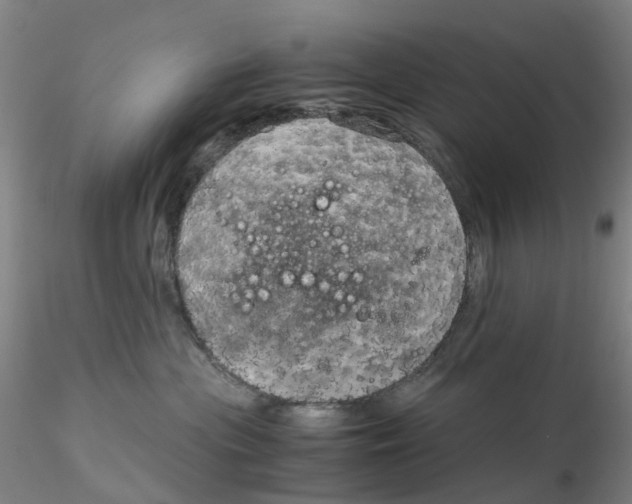 X0000115210477200911251512