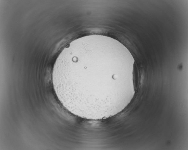 X0000115210478200911251512