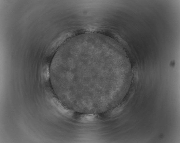 X0000115210479200911251512